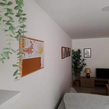 A Toca Dos Coelhos Apartment Mogadouro  Exterior photo
